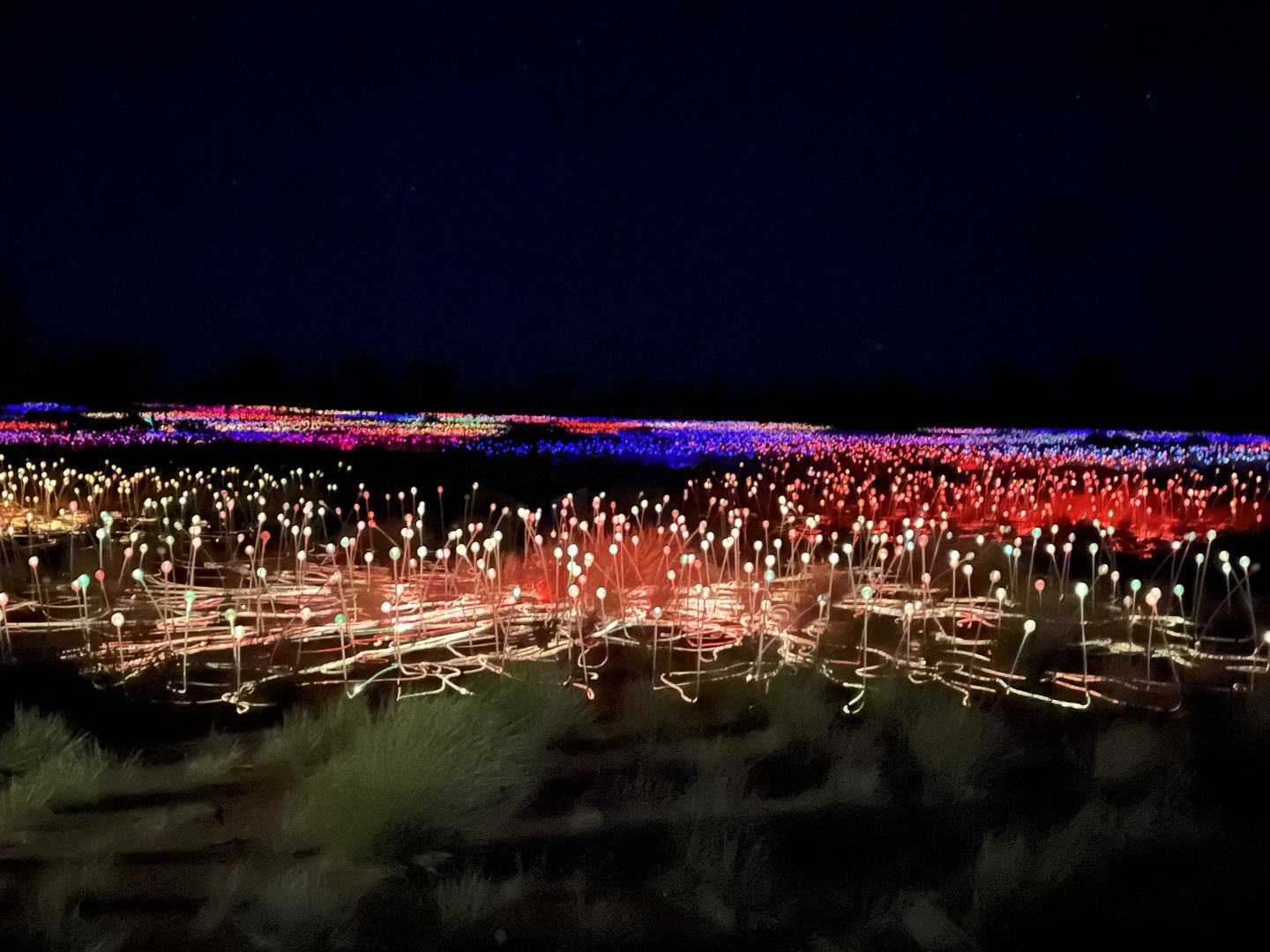 Field of Light